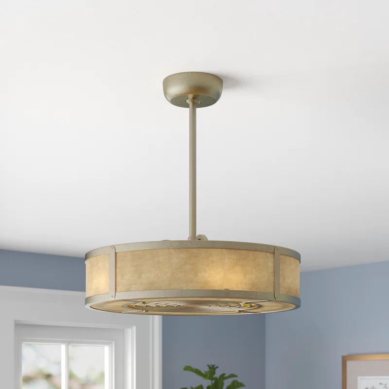 Tullia 14'' Ceiling Fan with Light Kit | Wayfair Professional
