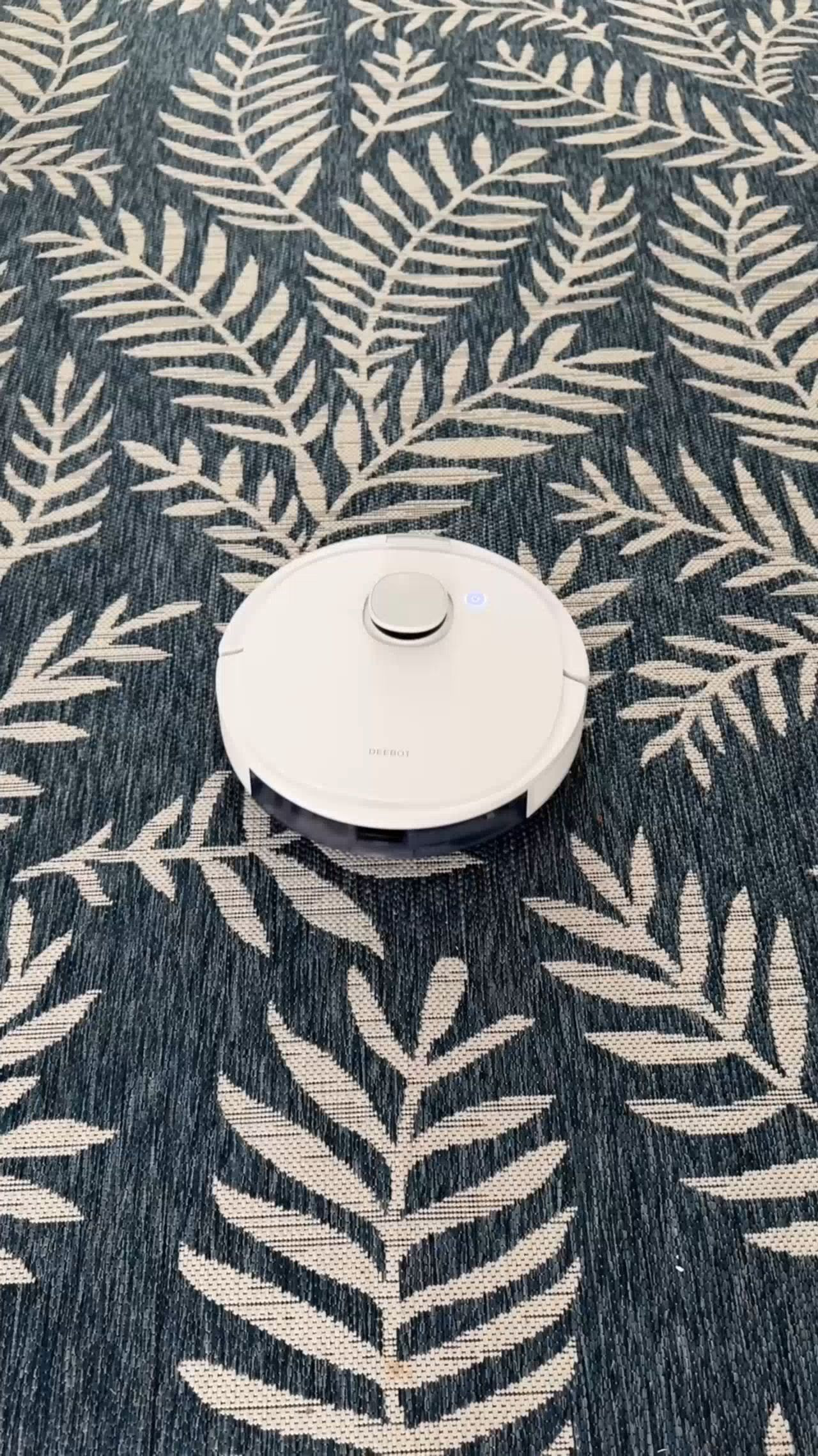 One of the best ways to keep a home feeling peaceful is having little systems that help you stay ahead. My Ecovacs D-Bot helps keep my floors looking clean daily without the overwhelm. Such a good affordable find.
#AmazonFinds #AmazonHome #RobotVacuum #CleaningHacks #HomeOrganization #LTKHome #SmartHomeFinds #CleaningTools 

 
