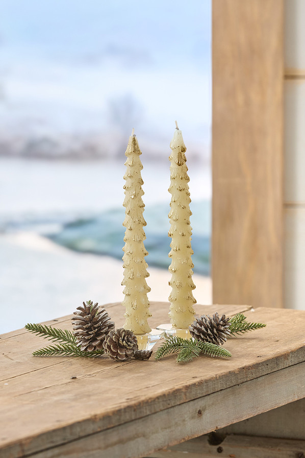 Evergreen Glow Taper Candles, Set of 2 | Coldwater Creek