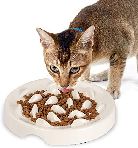 Slow Feeder Cat Bowl,Melamine Fun Interactive Feeder Bloat Stop Puzzle Cat Bowl Preventing Feeder... | Amazon (US)