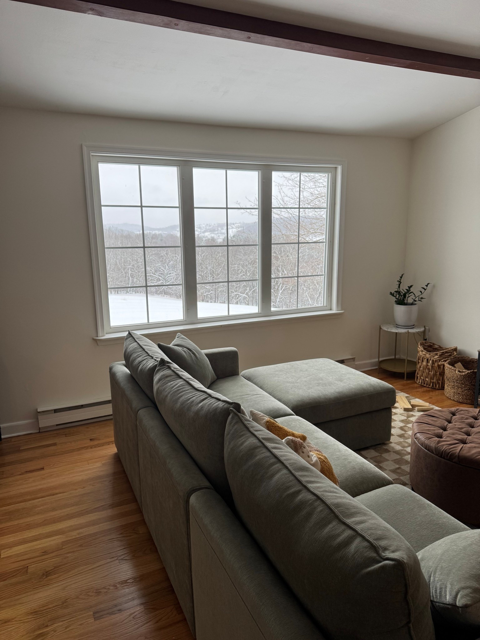 This couch is one of my most favorite purchases for the new house 🌿

#LTKvlog #LTKmomlife #LTKHome