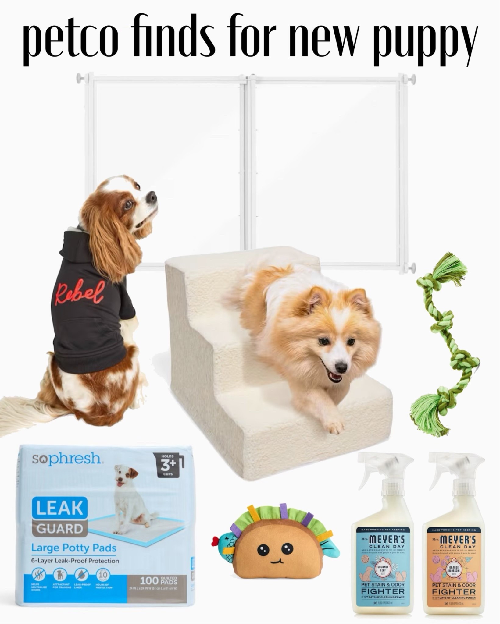 I got a new puppy so that means I gotta get stuff for that puppy!! I got everything from @petco! #petcopartner #ad