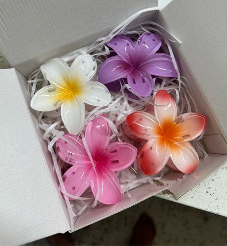 Cutie little flower fair clips for spring!! 💐

#LTKstyletip #LTKbeauty #LTKGiftGuide