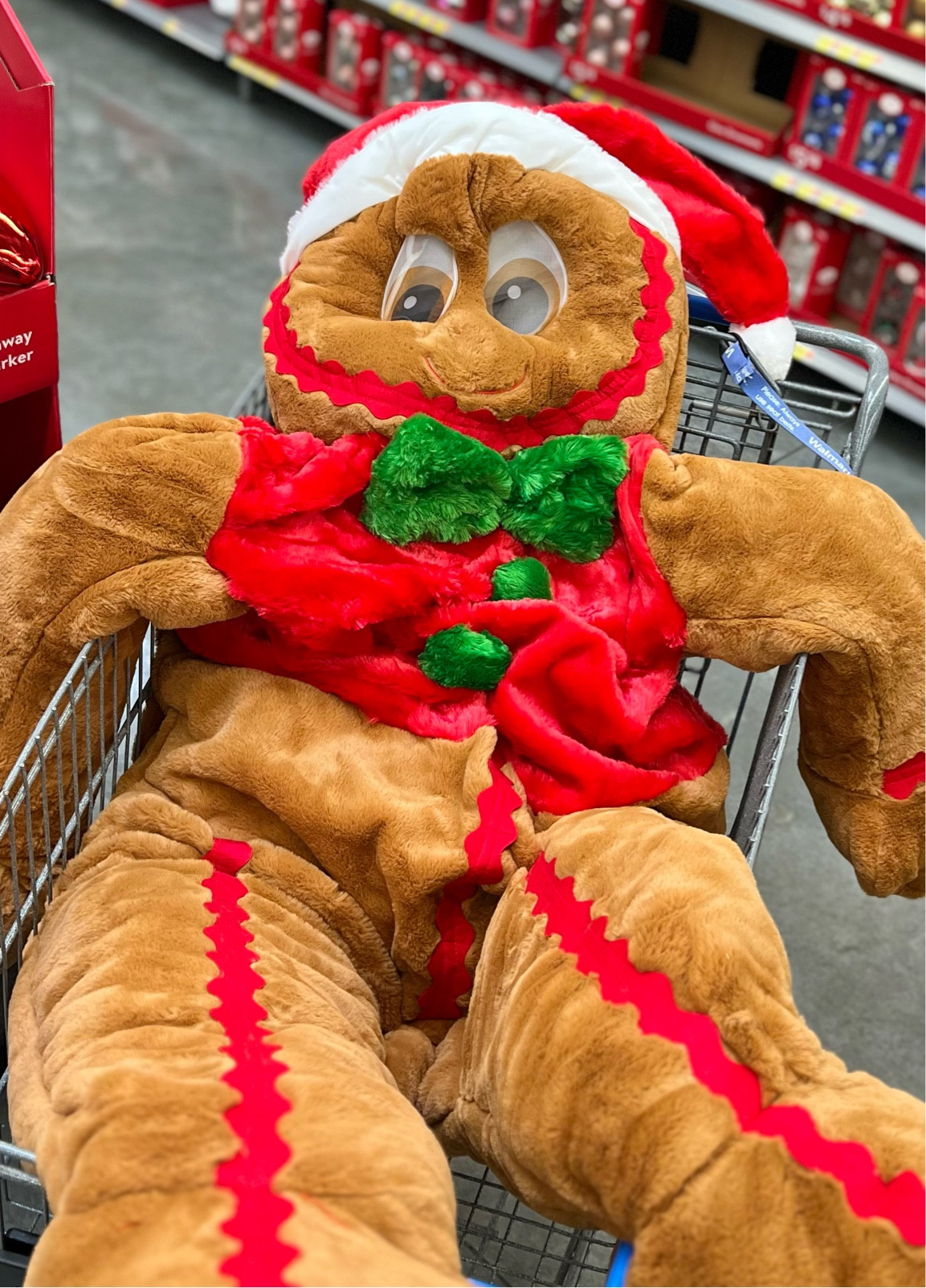 Plush costumes now online!

#LTKHoliday #LTKfamily #LTKSeasonal