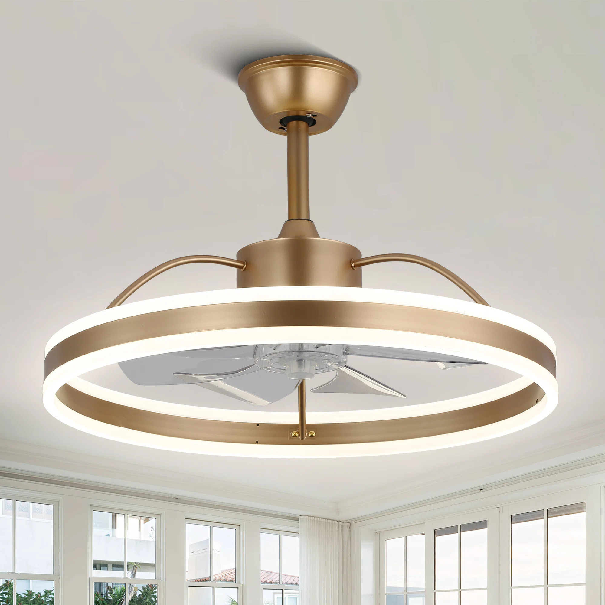 Chantrice 24 Inch Modern Reversible LED Ceiling Fan with Lights and Remote, Fandelier Ceiling Fan... | Wayfair North America