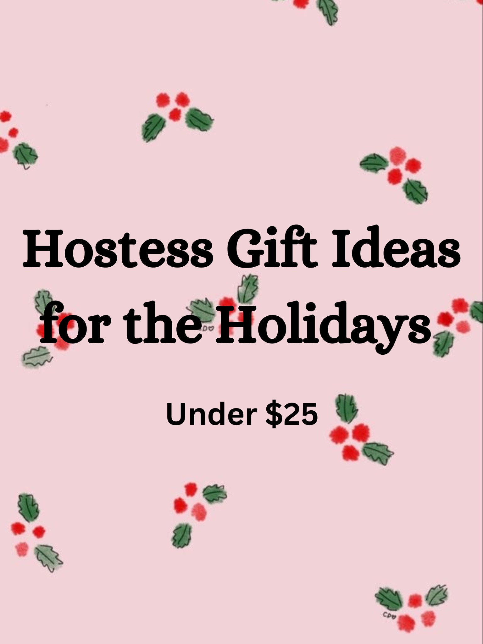 Hostess gift ideas under $25. Homestead gifts. Unique hostess gifts. Practical hostess gifts  

#LTKfindsunder50 #LTKHoliday #LTKGiftGuide