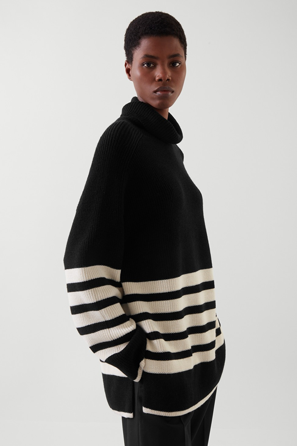 ROLL-NECK STRIPED JUMPER - BLACK / OFF-WHITE - Jumpers - COS | COS (EU)