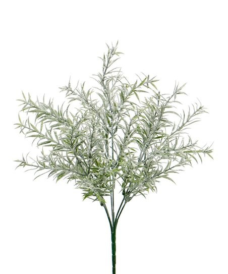 Light Green Rosemary Pick | Zulily