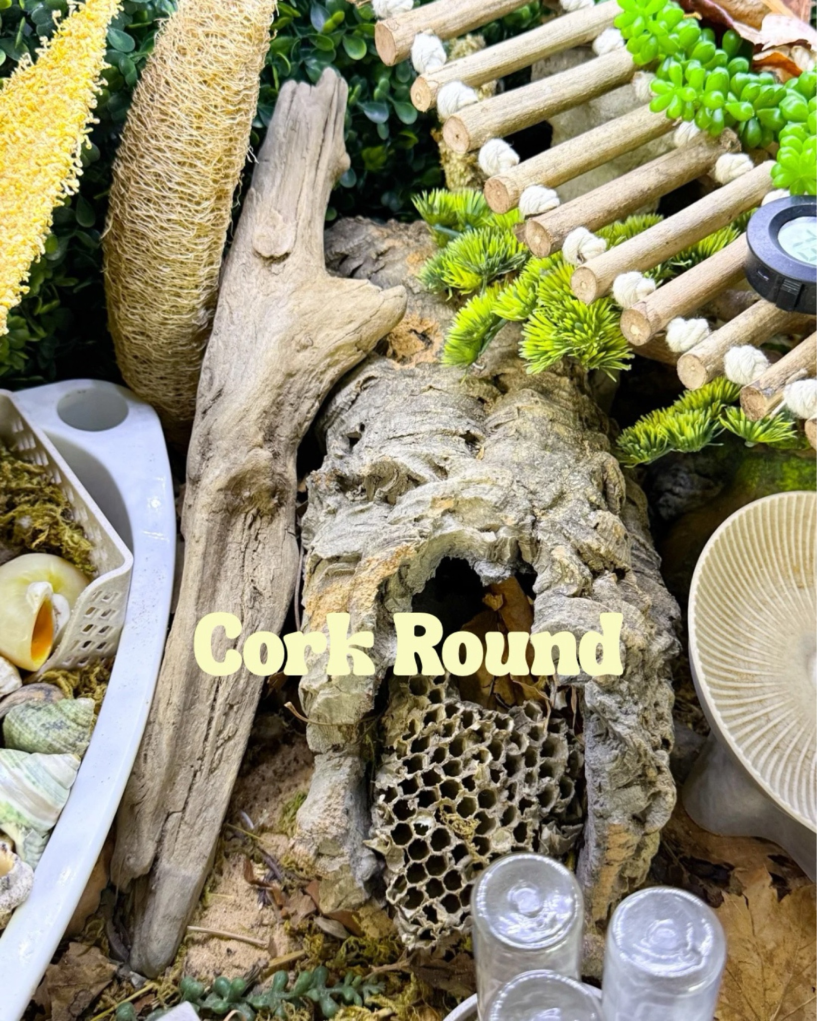 Cork round for hermit crab tankk climbing