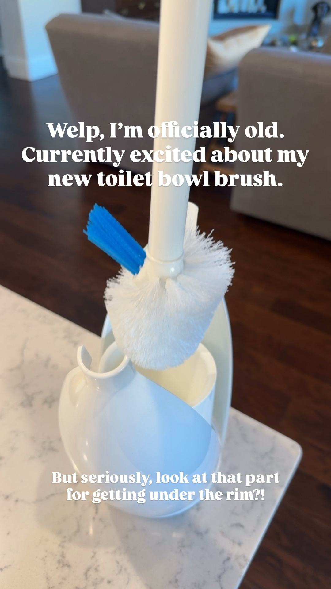 It’s silly, but I’m so excited about this new toilet bowl brush! The blue part gets under the rim and the head is replaceable.



#LTKHome