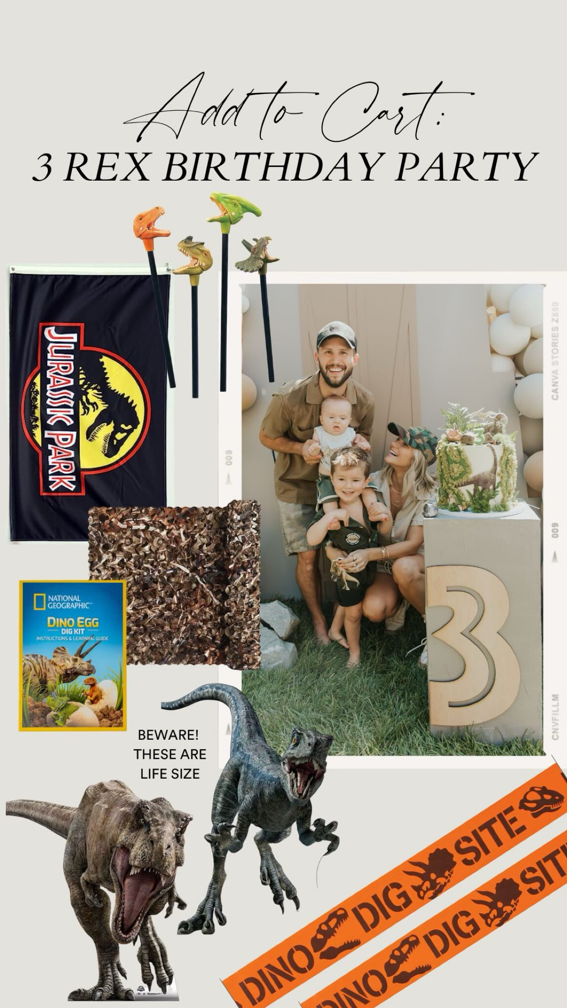 Little boy third birthday party ideas 

#LTKFind #LTKunder50 #LTKSeasonal