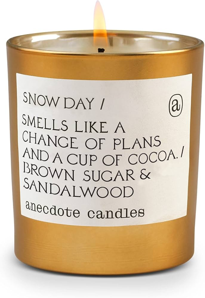 Anecdote Candles 'Snow Day' Coconut Soy Wax Candle | Premium Hand Poured & Long Burning | Brown S... | Amazon (US)