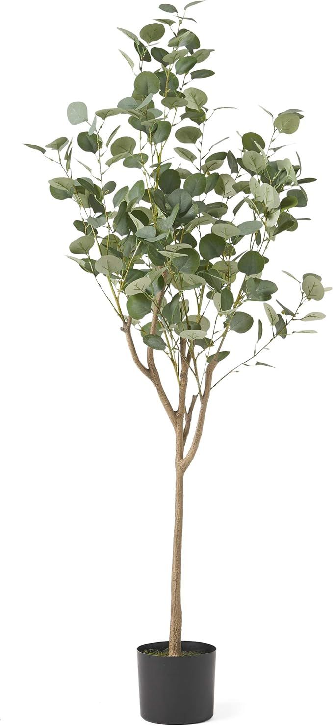 Christopher Knight Home Rebecca Artificial Eucalyptus Tree, 5' x 2', Green + Black | Amazon (US)