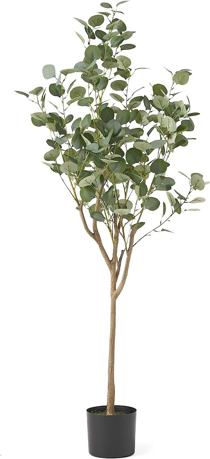 Christopher Knight Home Rebecca Artificial Eucalyptus Tree, 5' x 2', Green + Black | Amazon (US)