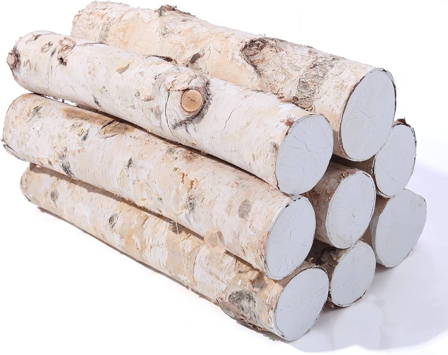 8 Pack Birch Logs for Fireplace Decor Crafts – Versatile Unfinished Wood Gas Fireplace Logs Fir... | Amazon (US)