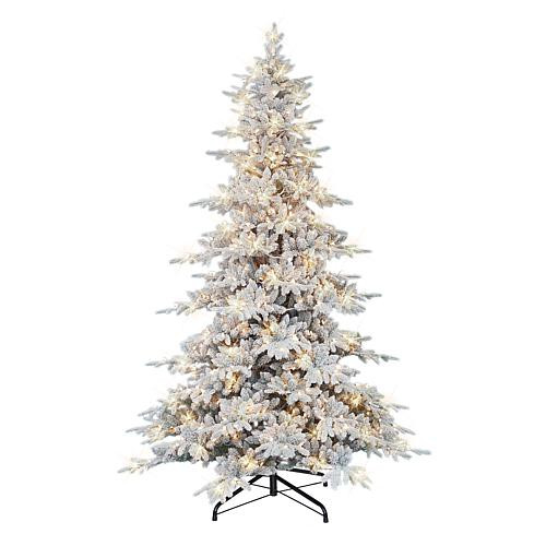 Puleo International 9 ft Pre-lit Utah Fir Tree, 800 UL Clear Lights | HSN