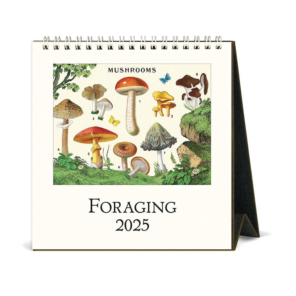 2025 Foraging Desk Calendar | Paper Source | Paper Source