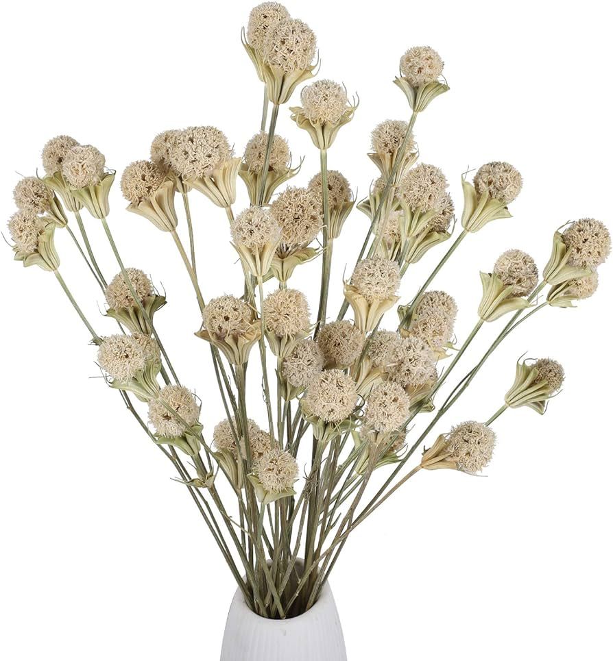 XHXSTORE 40 Balls Natural Dried Flowers Bouquet Fall Craspedia Billy Button Flowers Stems Dried P... | Amazon (US)