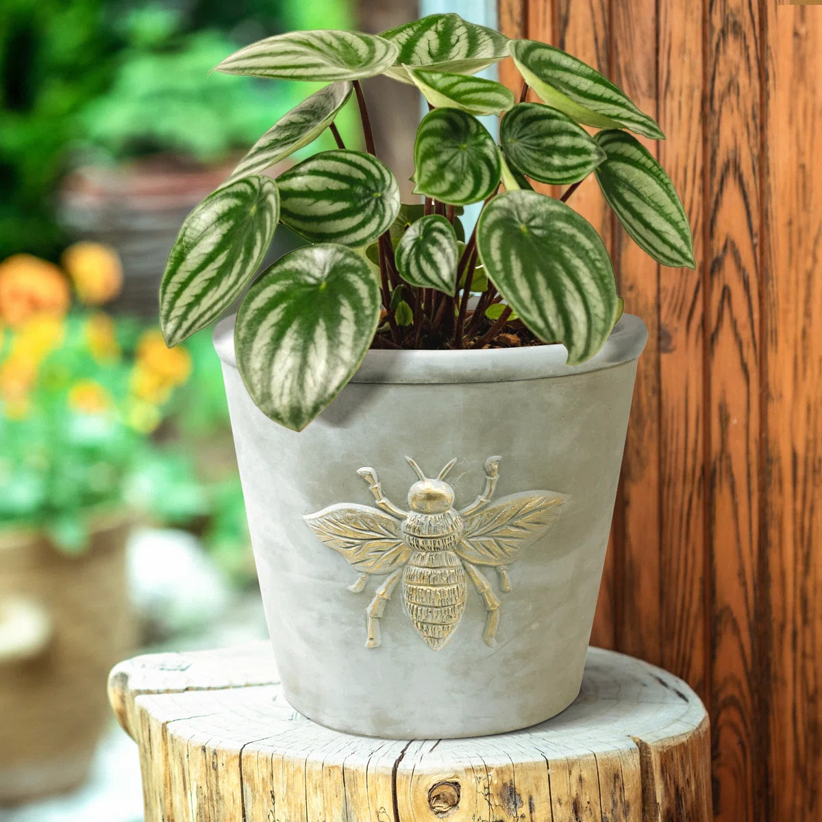 Husnida Bee Cachepot | Wayfair North America