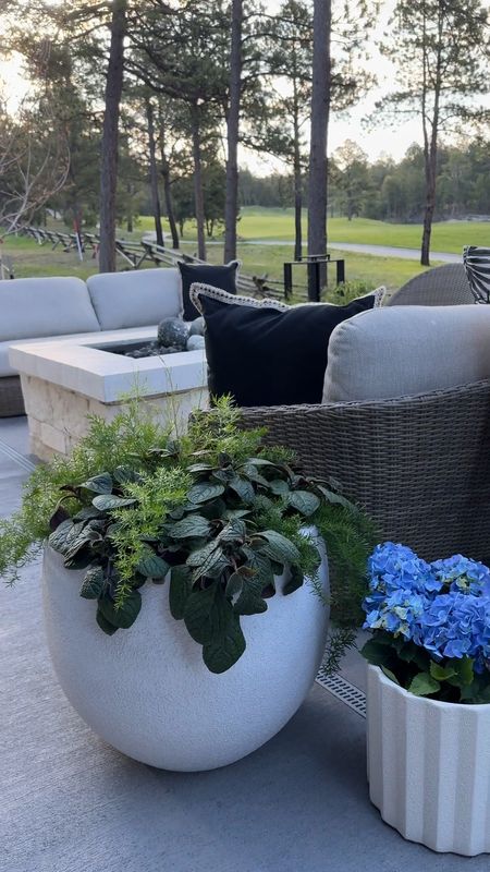 I’m so happy with how all of our planters turned out. Linking a few of my favorites, along with our outdoor furniture.

#LTKSeasonal #LTKVideo #LTKHome