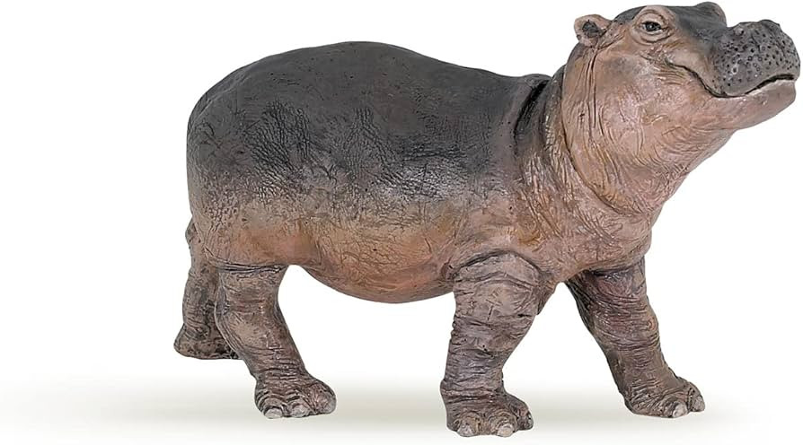 Papo -Hand-Painted - Figurine -Wild Animal Kingdom - Hippopotamus Calf -50052 -Collectible - for ... | Amazon (US)
