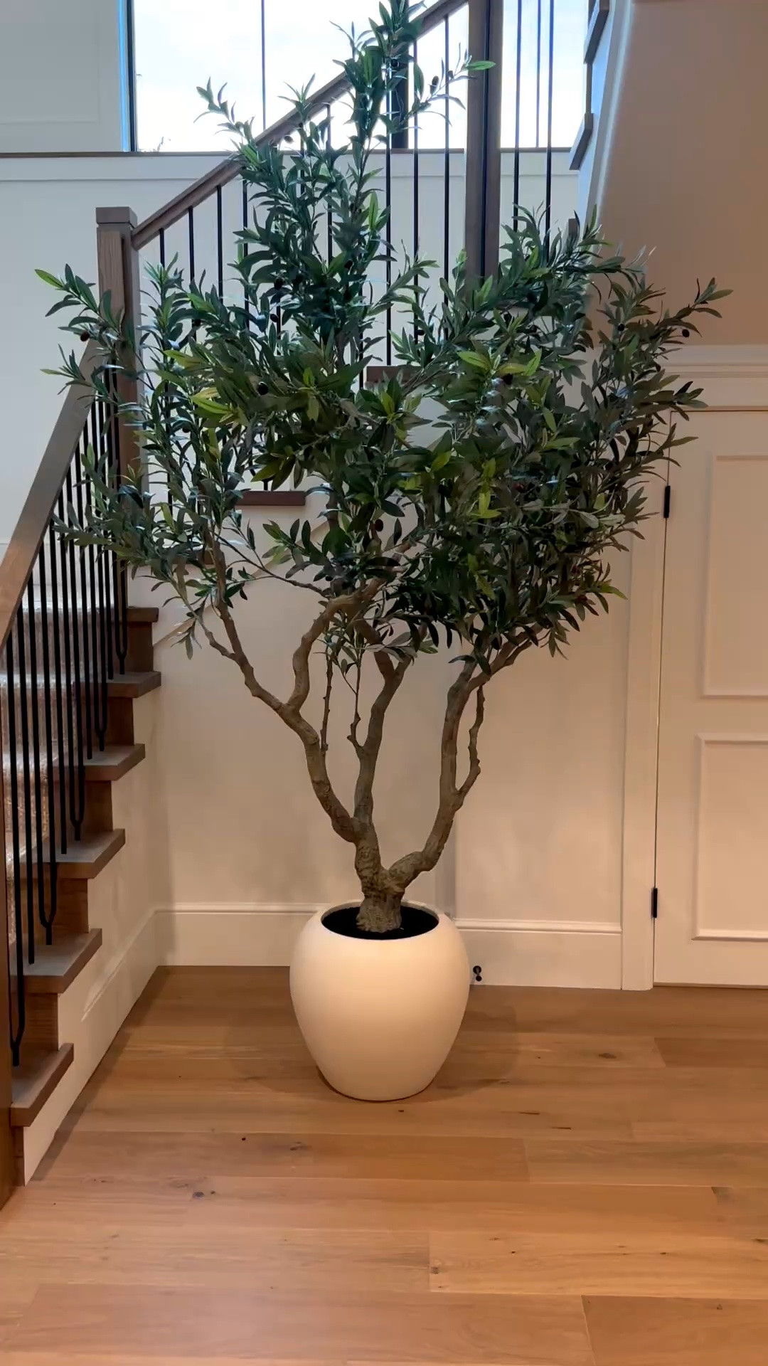 Large potted olive tree. So easy to add height and life to a space. 
@Wayfair

#LTKHome #LTKSaleAlert #LTKSeasonal
