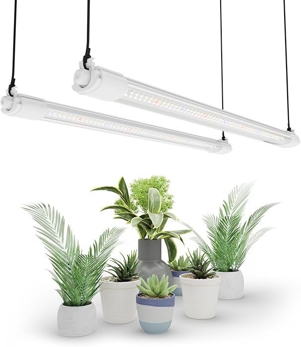 If you’re serious about strong seedlings and compact, healthy growth, this Mars Hydro VG40 grow light is a game changer 🌱 With full-spectrum lighting designed specifically for seed starting, it delivers powerful coverage while using minimal energy. The slim, daisy-chain design makes it perfect for plant shelves and grow racks, and the long lifespan means you’ll use it season after season. Bright, efficient, and built to grow—your seedlings will thank you.

#LTKgarden #GrowLights #SeedStartingSetup #IndoorGrowing #MarsHydro #PlantShelves #GardenGear #GrowBetter

#LTKHome #LTKdayinmylife #LTKSeasonal