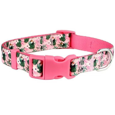 Parisian Pet 'Tropical Toucan' Collar for Dogs & Cats – Adjustable Pink Tropical Pet Collar with Colorful Design  Leash | Target