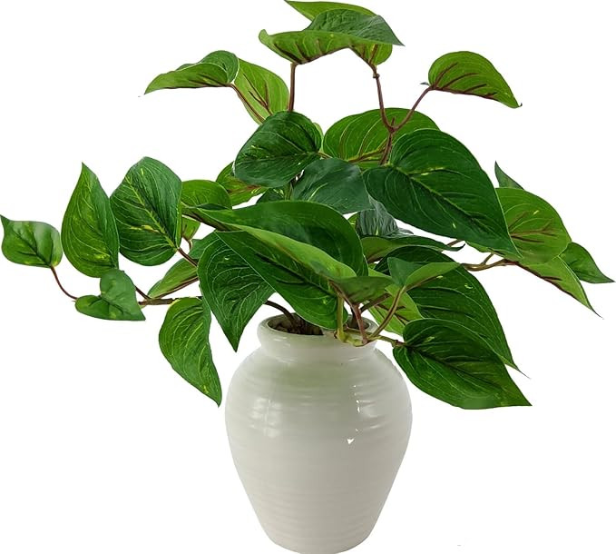 SEDLAV 11-inch Artificial Golden Pothos in White Ceramic Pot – Indoor Decor Accent with Realist... | Amazon (US)