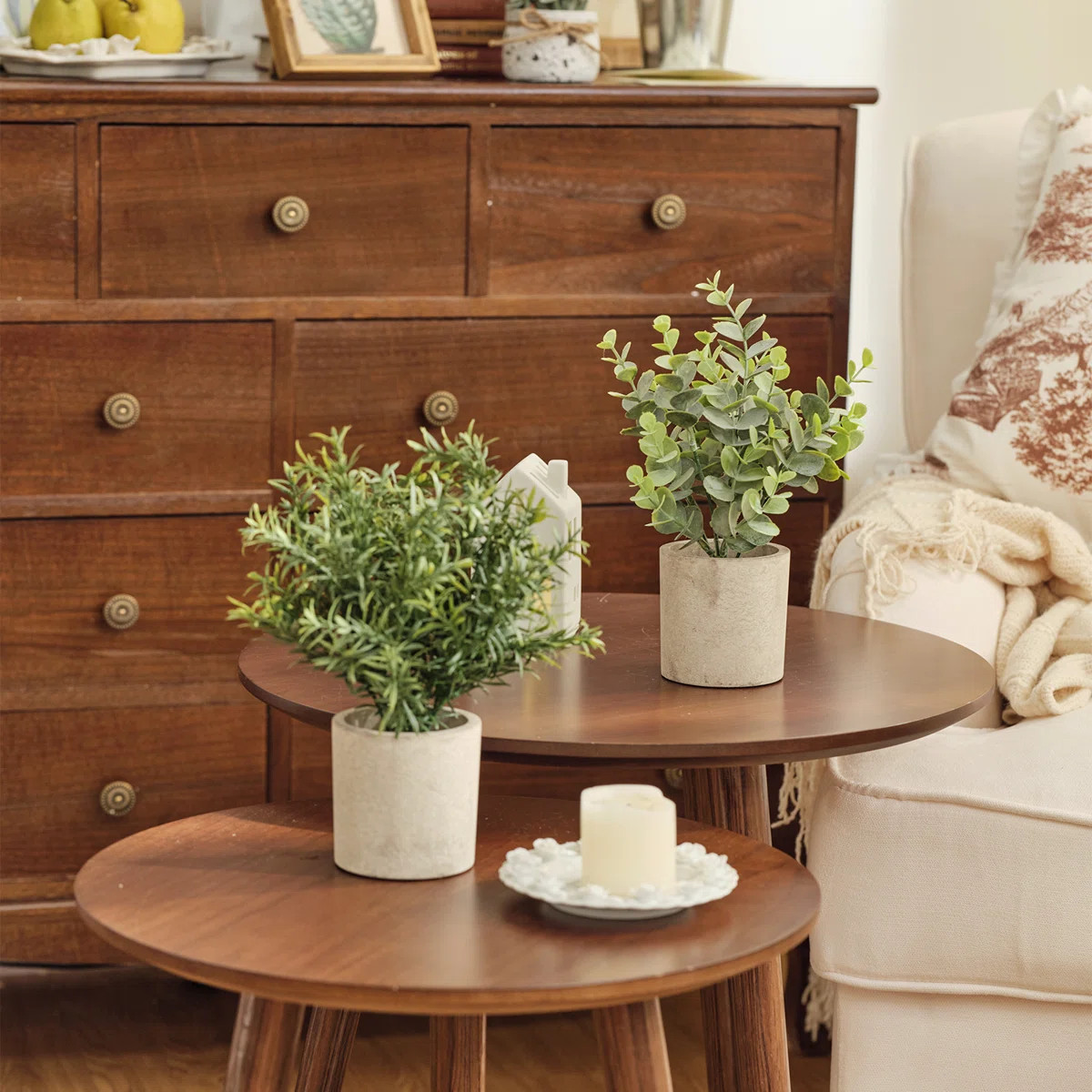 Fake Plants 9.5" Eucalyptus & Rosemary in Cement Pot - Set of 2 | Wayfair North America