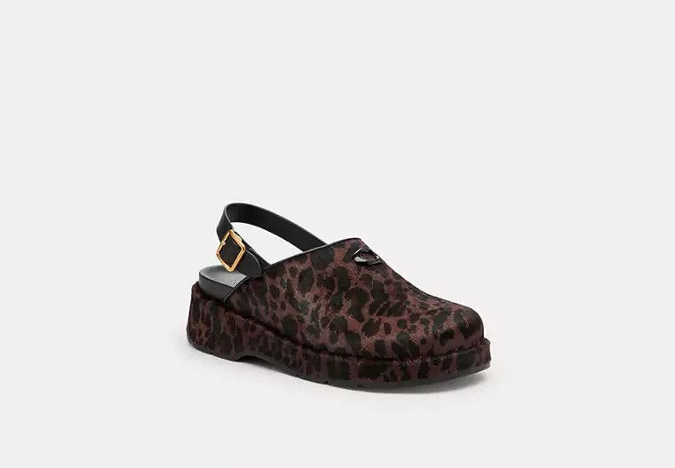 Sculpted C Platform Clog With Leopard Print | Coach (US)