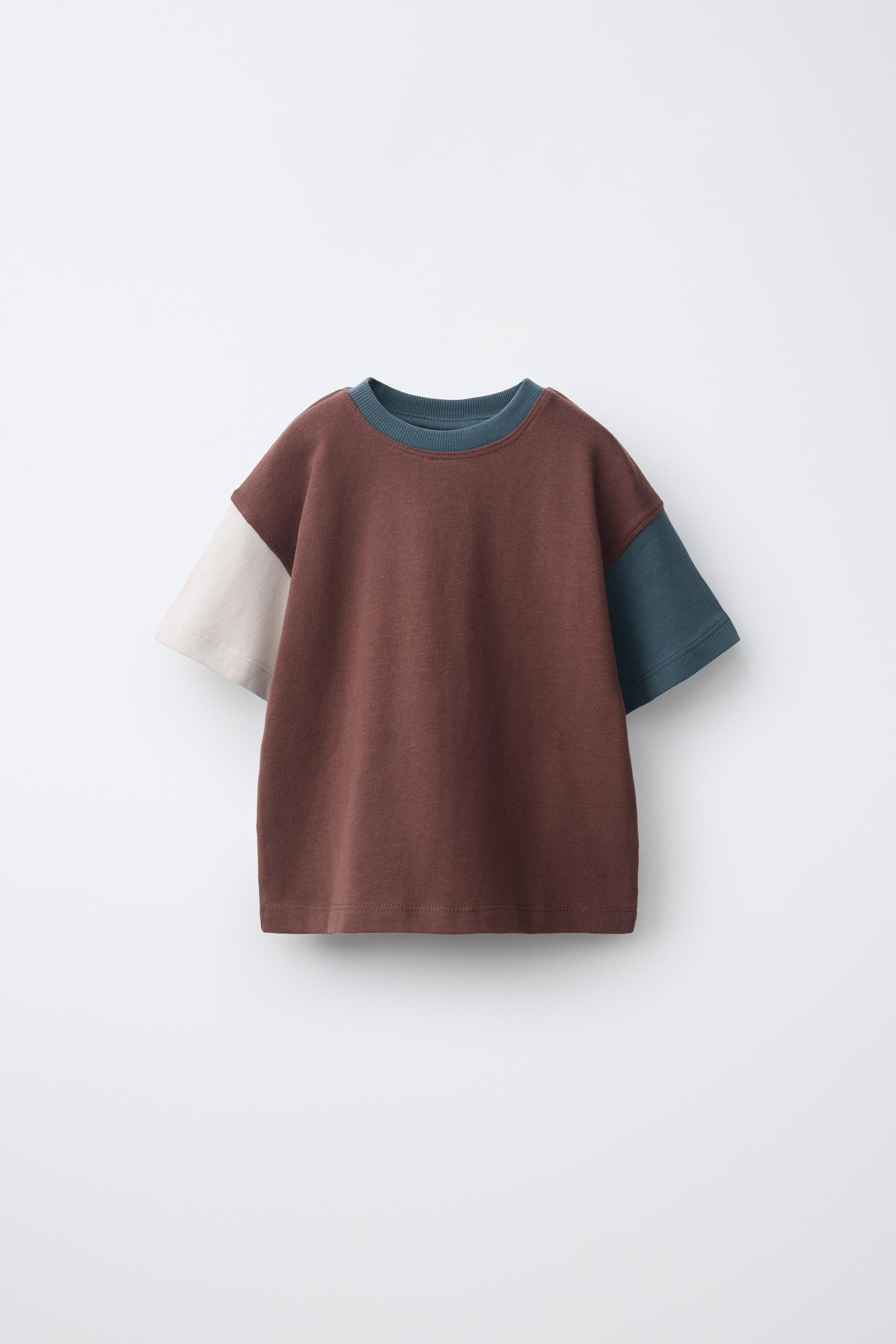 HEAVYWEIGHT SOFT COLOR-BLOCK T-SHIRT | Zara US