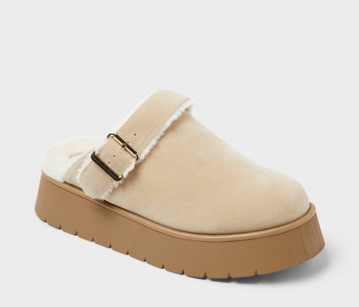 Clog slippers by Wild Fable

#LTKSeasonal #LTKShoeCrush #LTKFindsUnder50