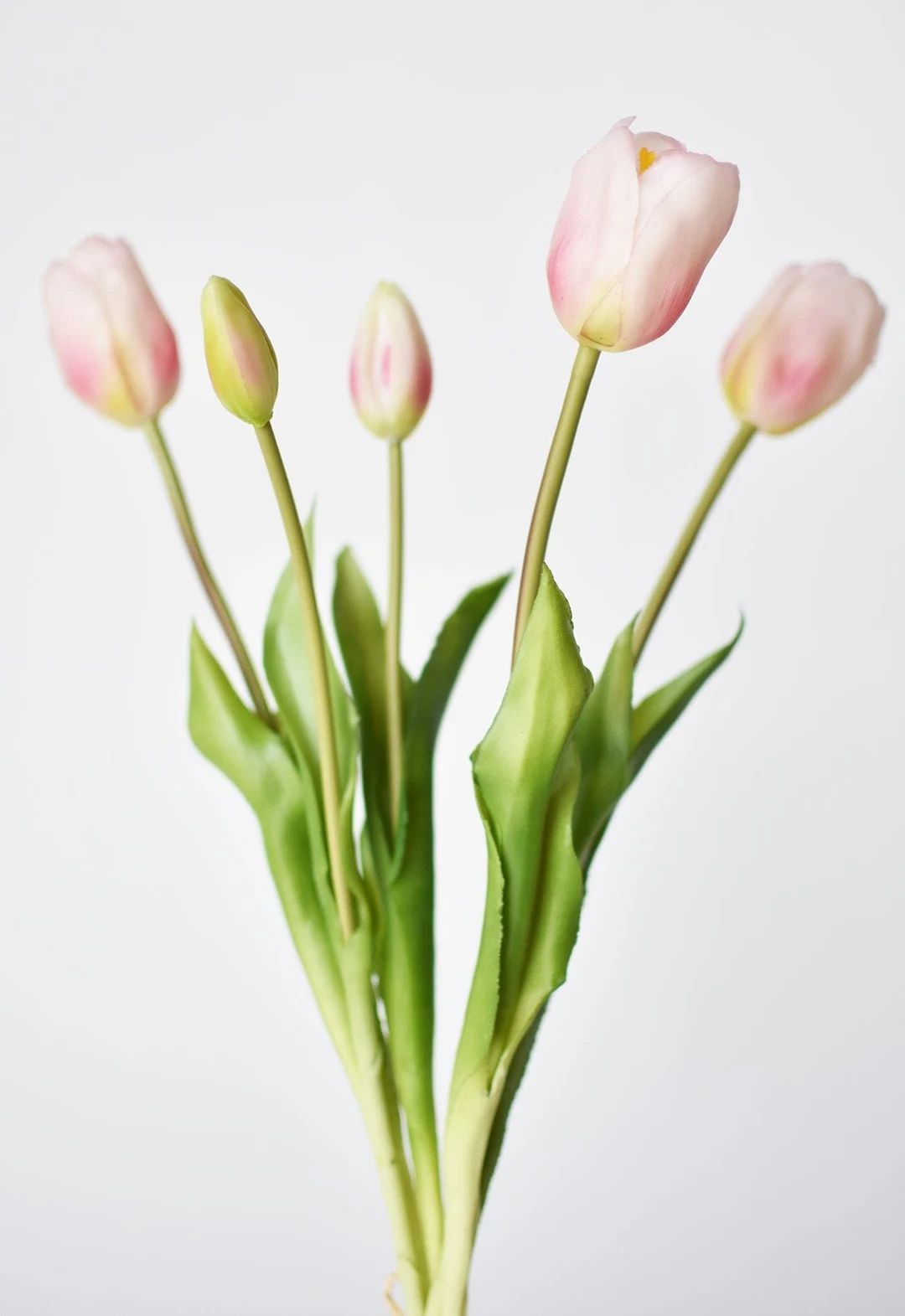 18 Pink Blush Tulip Bundle - Etsy | Etsy (US)