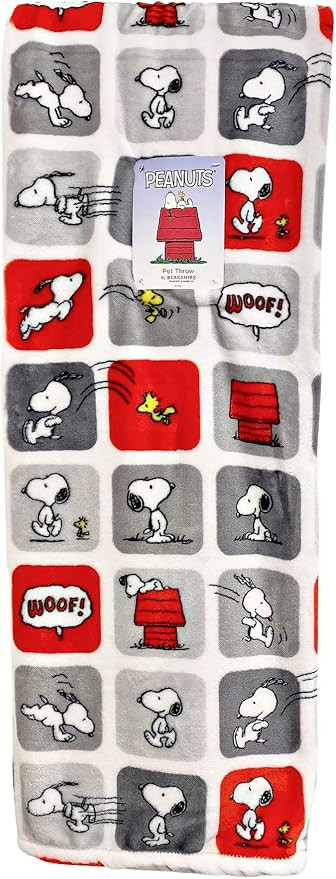 Berkshire Blanket & Home Peanuts Gang Snoopy & Woodstock Velvet Soft Plush Throw Blanket by Berks... | Amazon (US)