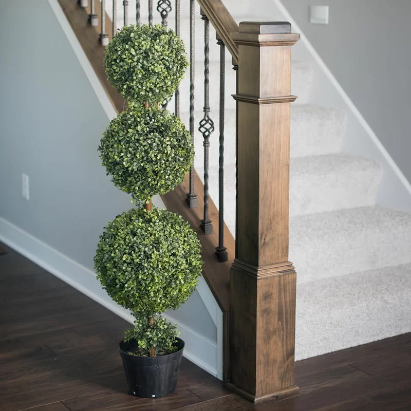 Triple Ball Boxwood Topiary in Pot | Wayfair North America