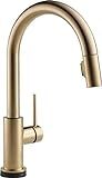 DELTA Trinsic VoiceIQ Single-Handle Touch Kitchen Sink Faucet with Pull Down Sprayer, Alexa and Goog | Amazon (US)
