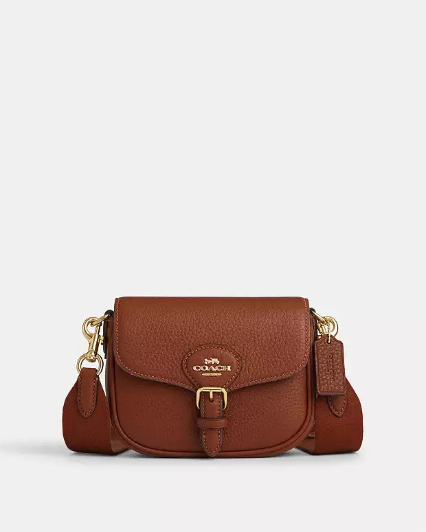 Amelia Small Saddle Bag | Coach Outlet CA
