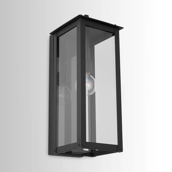 Lenoir 1-Light Outdoor Wall Lantern | Wayfair Professional