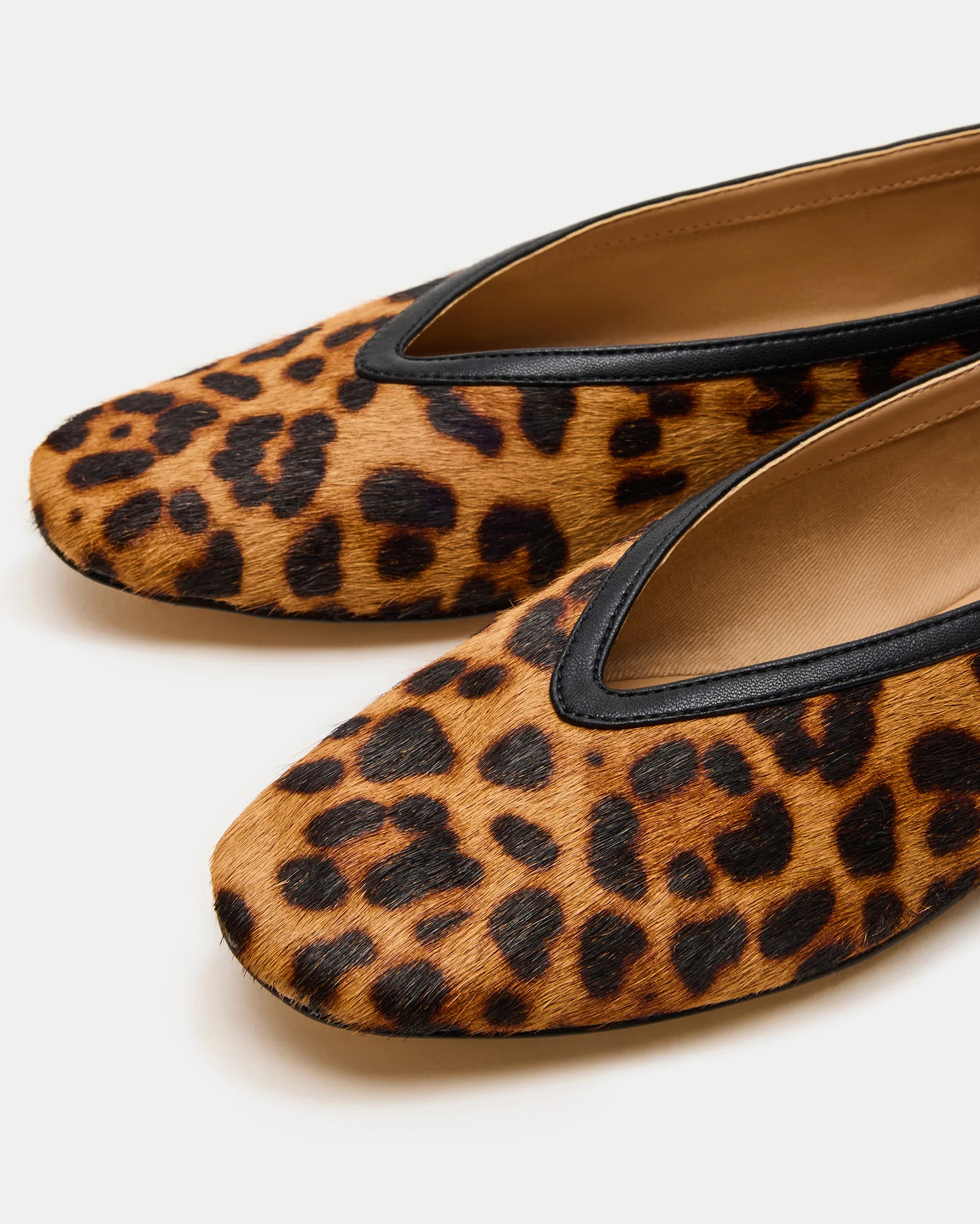 LENI Leopard Square-Toe Ballet Women's Flat | Steve Madden (US)