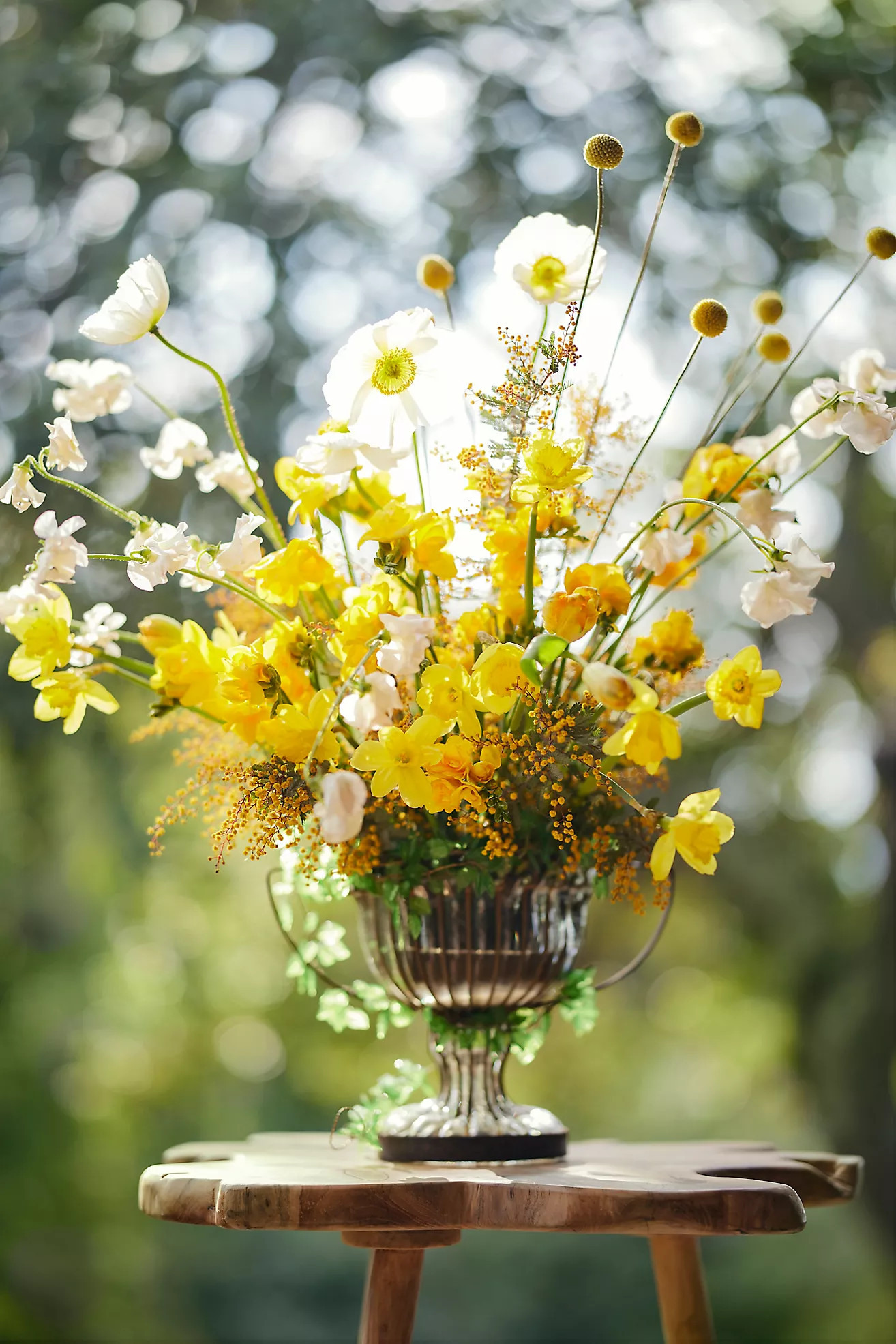 Glass + Iron Urn Bowl | Anthropologie (US)