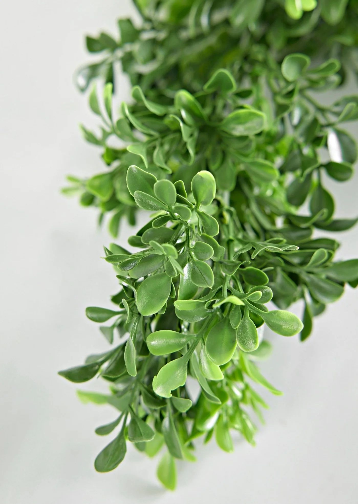 UV Treated Faux English Boxwood Outdoor Garland - 72" | Afloral