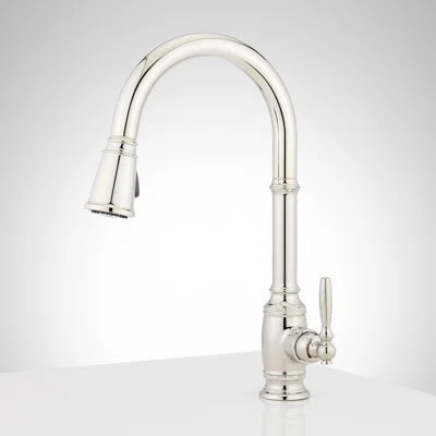 Finnian 1.8 GPM Single Hole Pull Down Kitchen Faucet | Wayfair North America