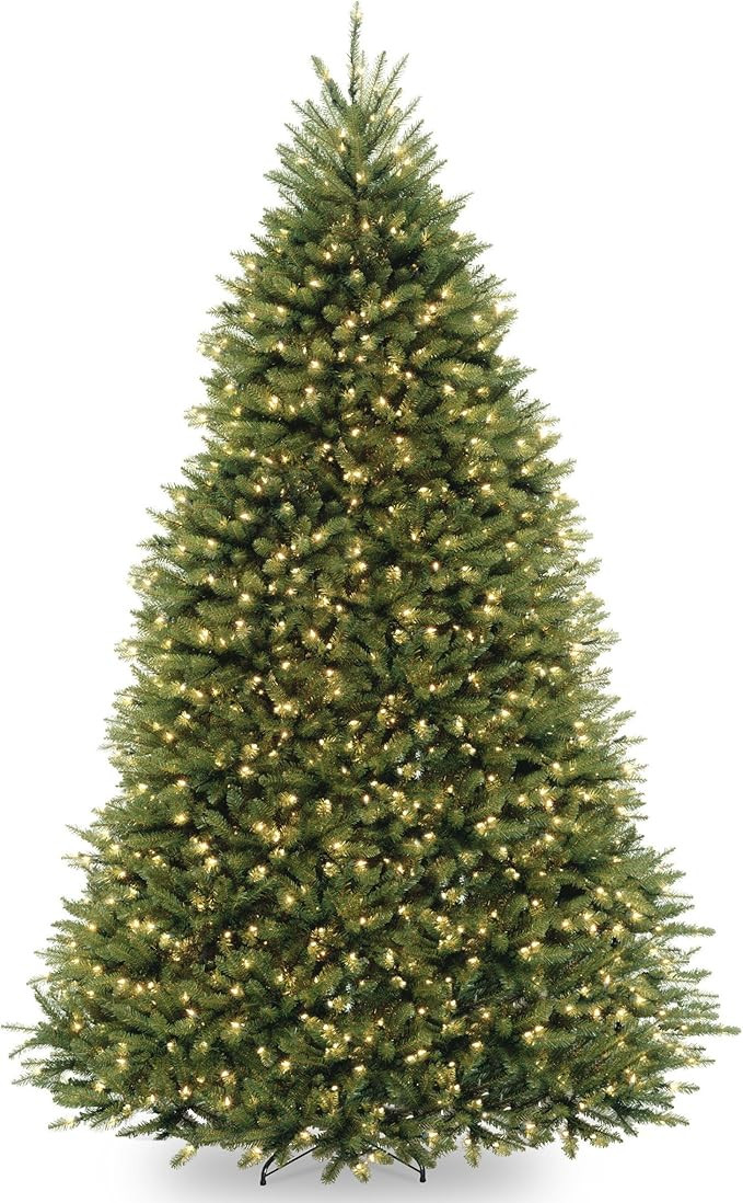 National Tree Company Pre-Lit Artificial Full Christmas Tree, Green, Dual Color LED Lights, Inclu... | Amazon (US)