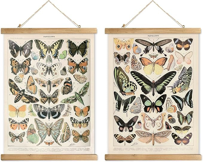 XIAOAIKA 2 Pack Vintage Butterfly Poster - Cottagecore Room Decor Aesthetic - Classic Lepidoptera... | Amazon (US)