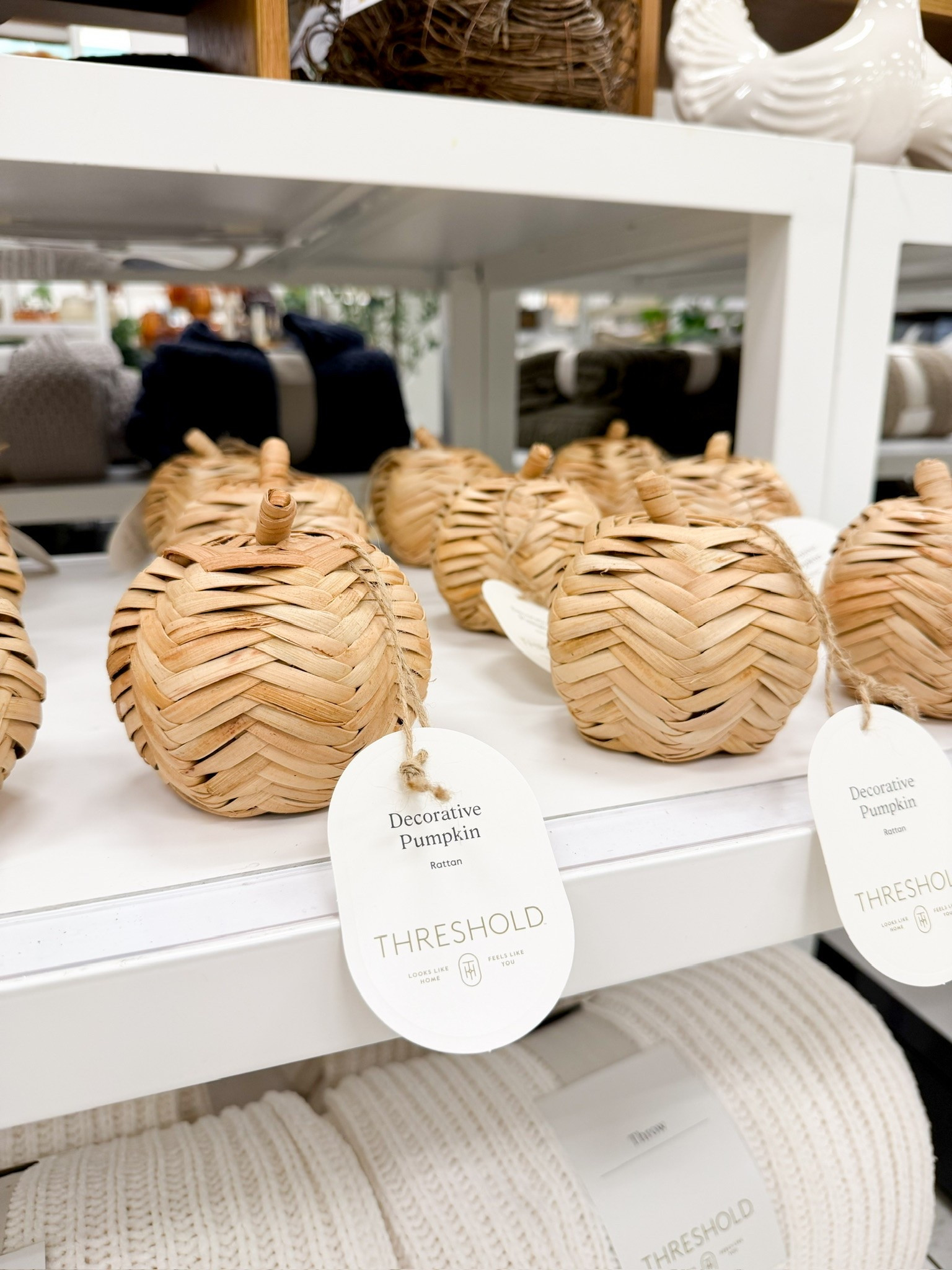 Some simple woven pumpkins to enhance your Fall Decor. More @Target easy refresh decor pieces.

//
Fall decor
Mini woven pumpkins 
Natural color fall decor

#LTKdayinmylife #LTKSeasonal #LTKHome