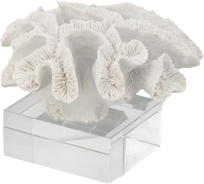 A&B Home Coral Sculpture - White Coral Figurine with Glass Base Centerpiece Table Décor, Beach T... | Amazon (US)