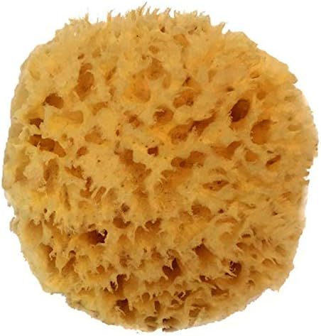 Natural Sea Wool Sponge 4-5" by Spa Destinations ® Amazing Natural Renewable Resource"Creating T... | Amazon (US)