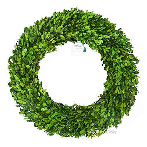 Boxwood Wreath 20 inch X-Large, Preserved Natural Boxwood Designed for Christmas Wedding Home Decoration, Farmhouse Style Realistic Full Green Real Decoration, Indoor Home Office Shop Hotel Decor | Amazon (US)