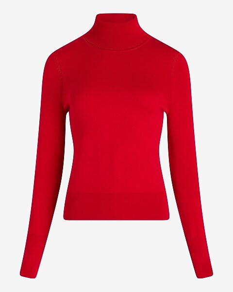 Silky Soft Fitted Turtleneck Sweater | Express